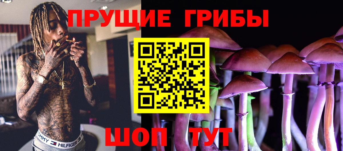 Псилоцибиновые грибы GOLDEN TEACHER  Псилоцибиновые грибы мицелий  Саратов  Вход с VPN 